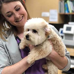 Lincolnshire Animal Hospital